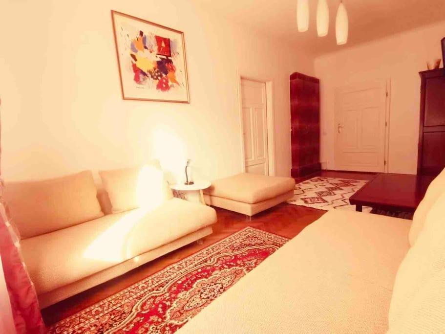 Casa Young&Jung Sibiu Extérieur photo