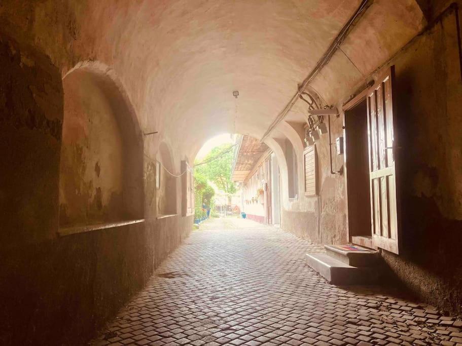 Casa Young&Jung Sibiu Extérieur photo