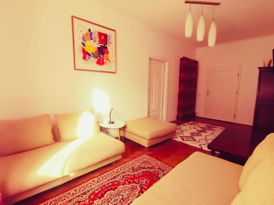 Casa Young&Jung Sibiu Extérieur photo