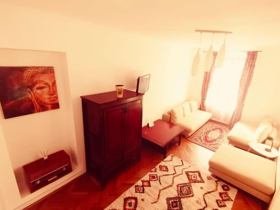 Casa Young&Jung Sibiu Extérieur photo